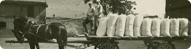 Blog – History of workplace health and safety – 5