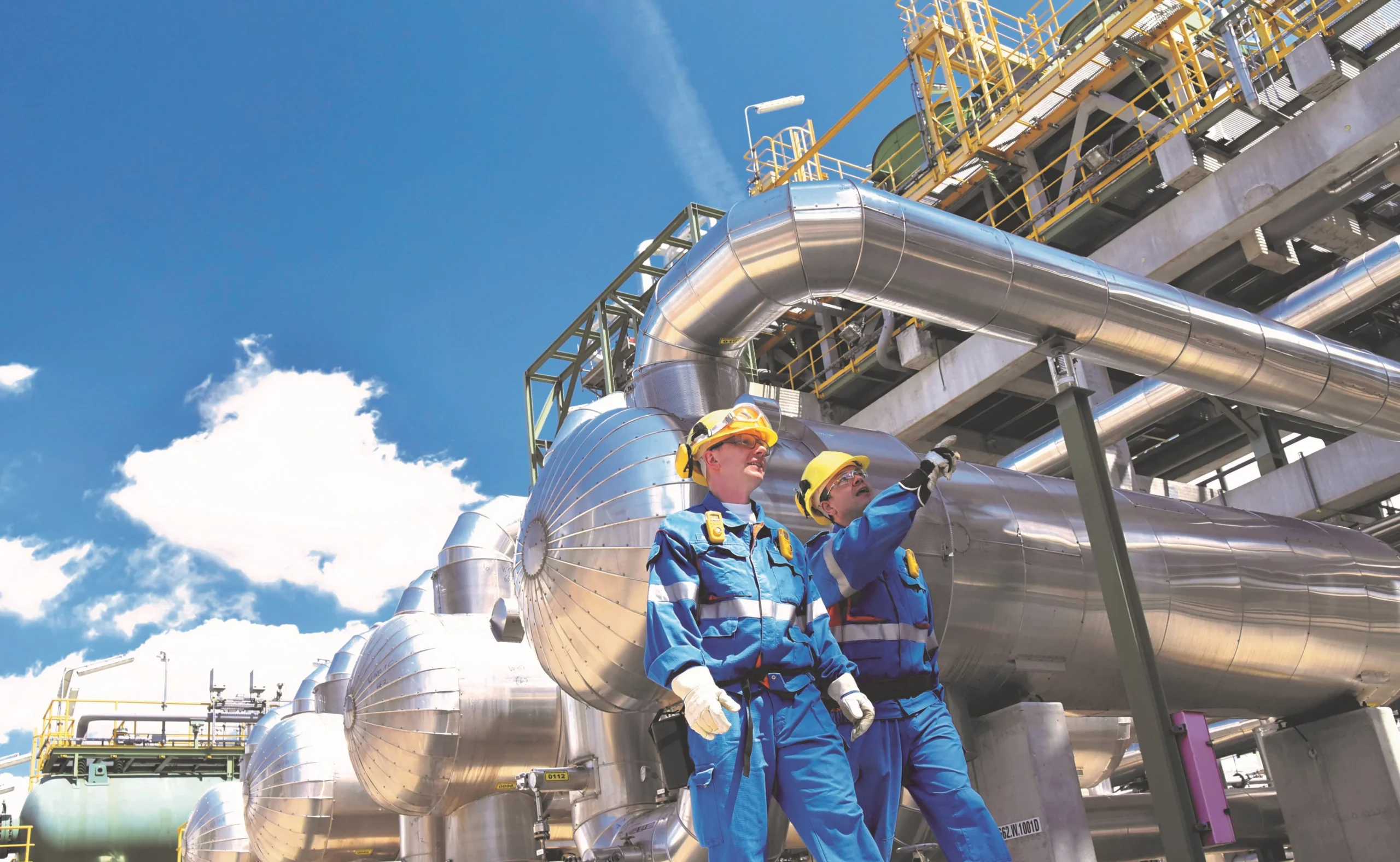 AdobeStock_190806570202812920-20Copy-2.jpeg202-2.jpeg203-2-scaled