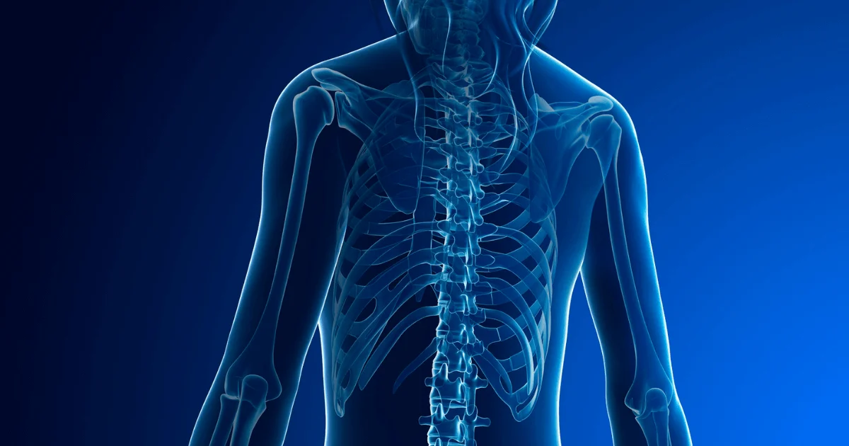 Musculoskeletal Disorders What Can Employers Do
