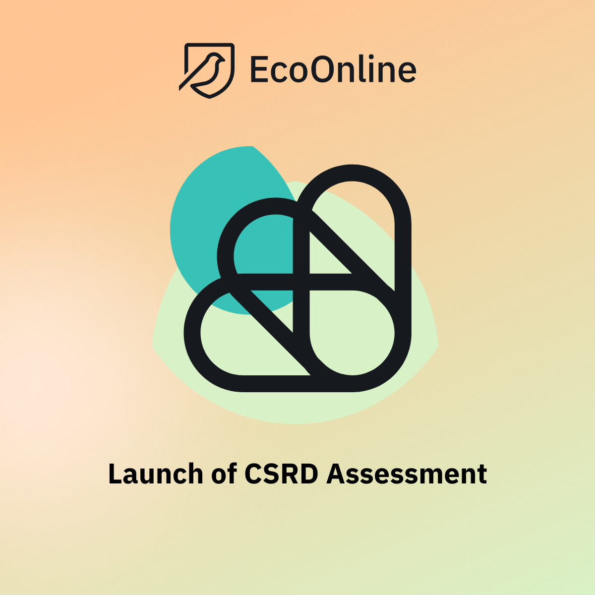 News20release20CSRD20Assessment20badge-6
