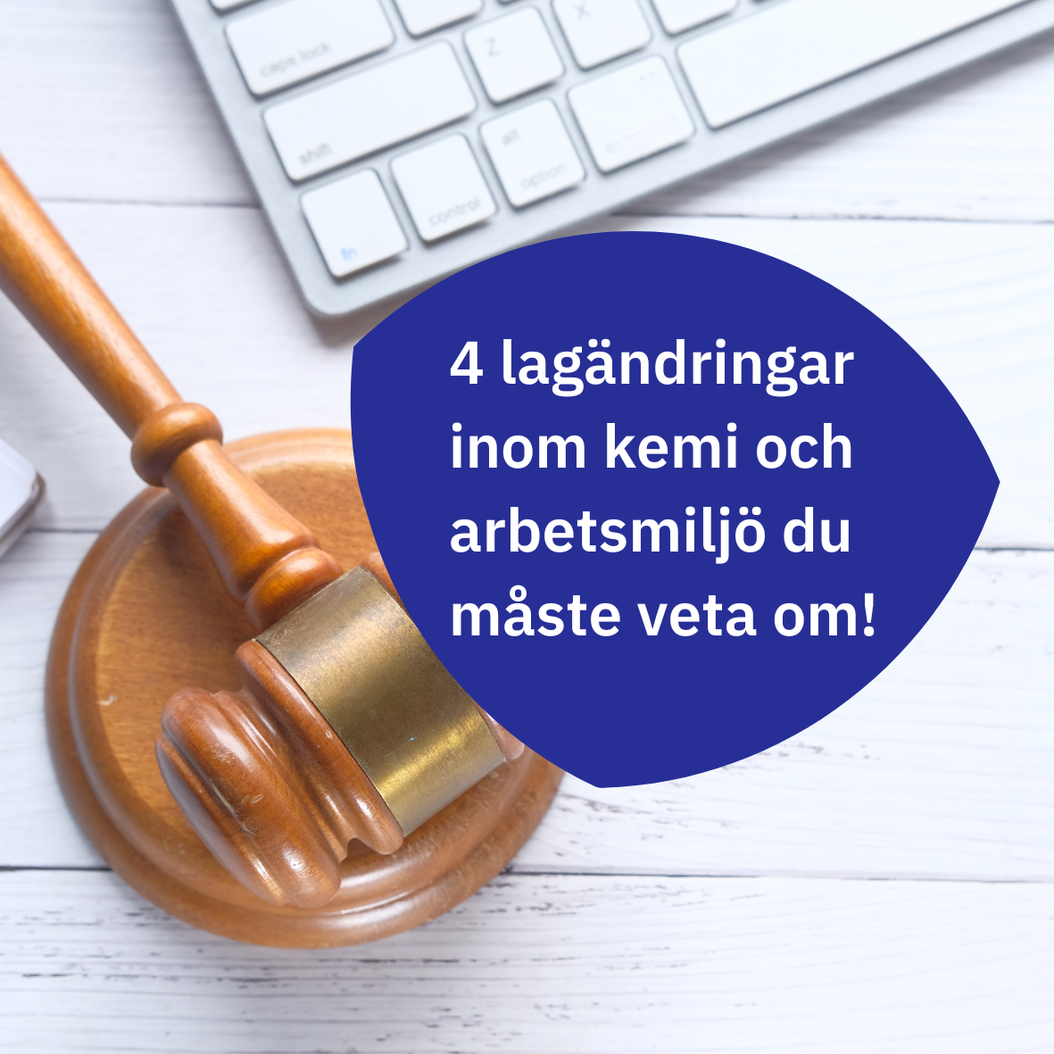 SE20New20law20202320Blog20article-1