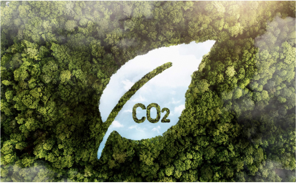 Screenshot202024-01-1820at2014.35.44-4