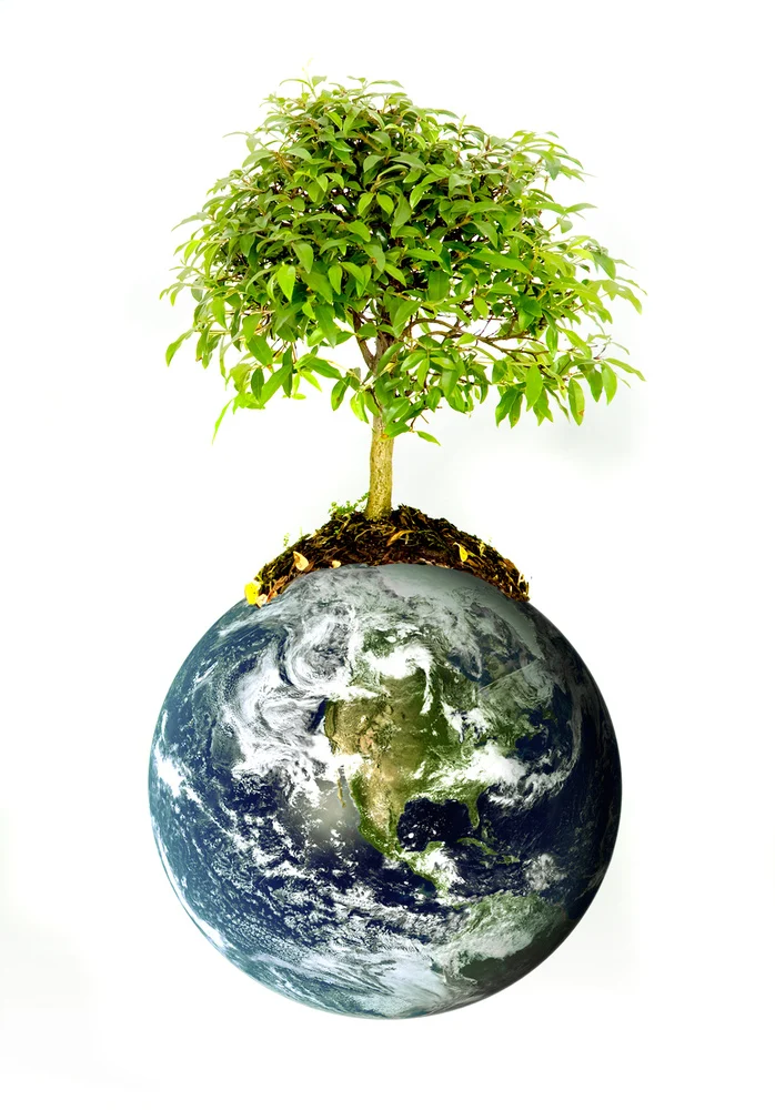 Protect The Environment Concept Earth With A Tree Isolated Over A White Background