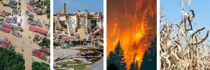 Image of various natural disasters