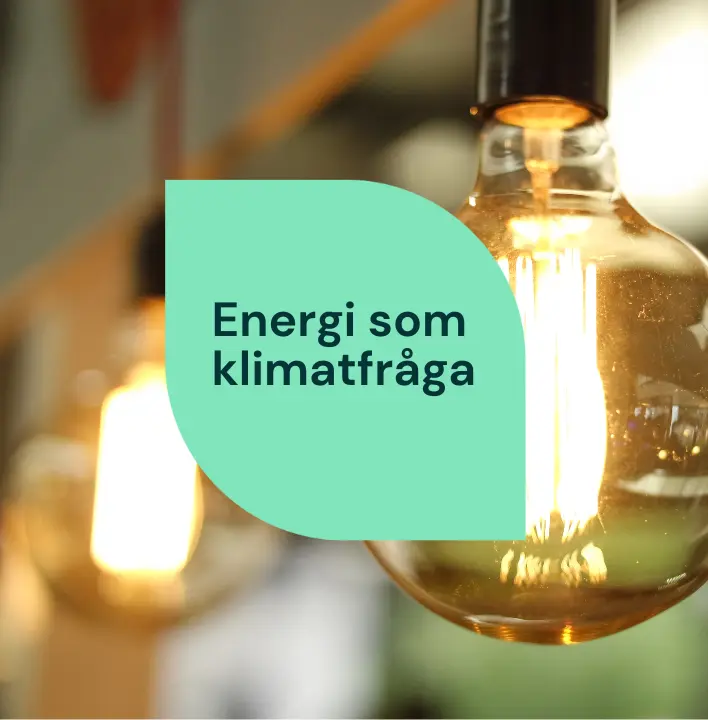 Energi som klimatfråga - bild på glödlampa
