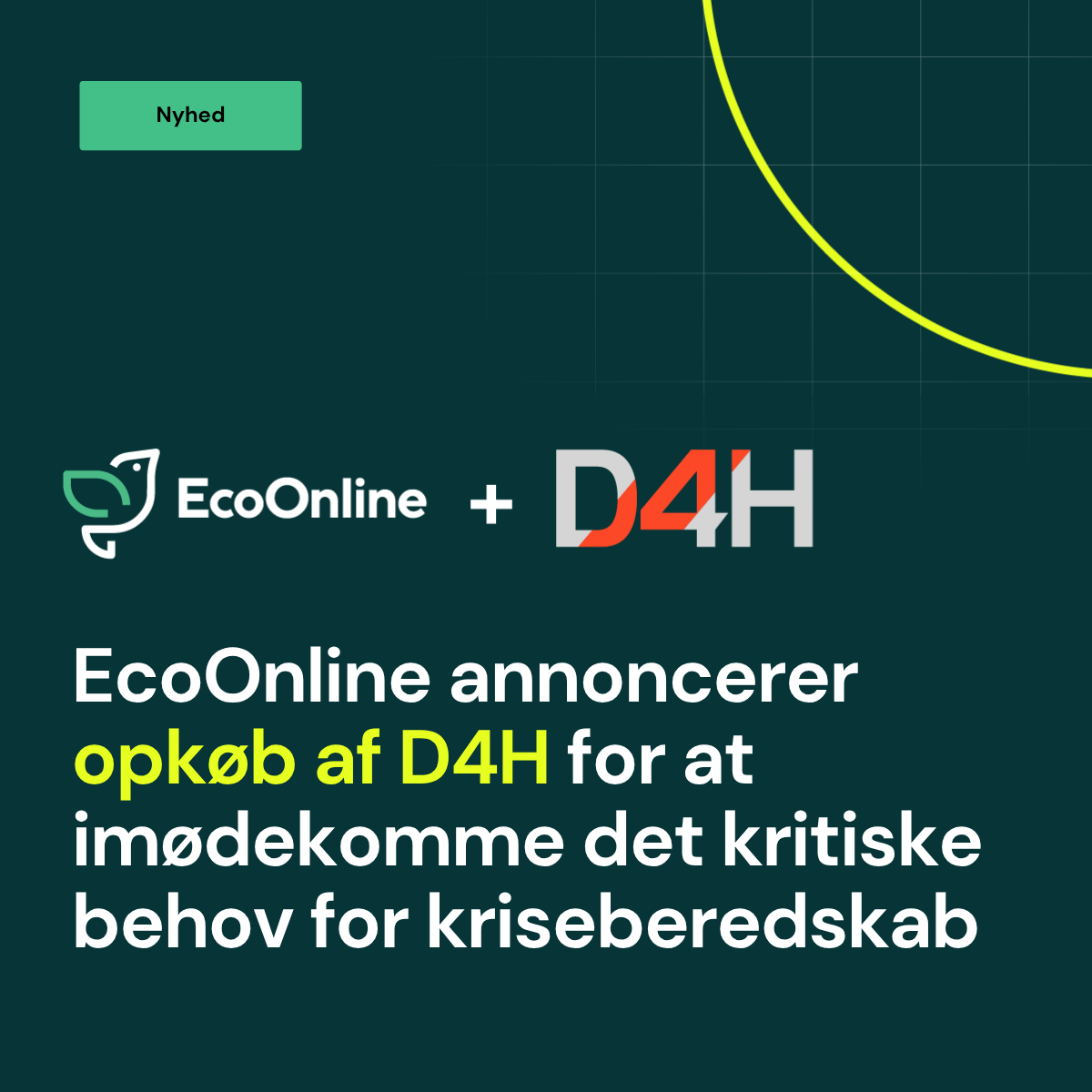 DK D4H News Tile 1
