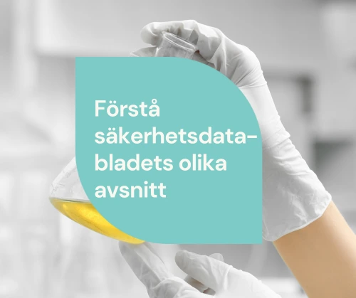 SE Image Webinar SDS October 2025