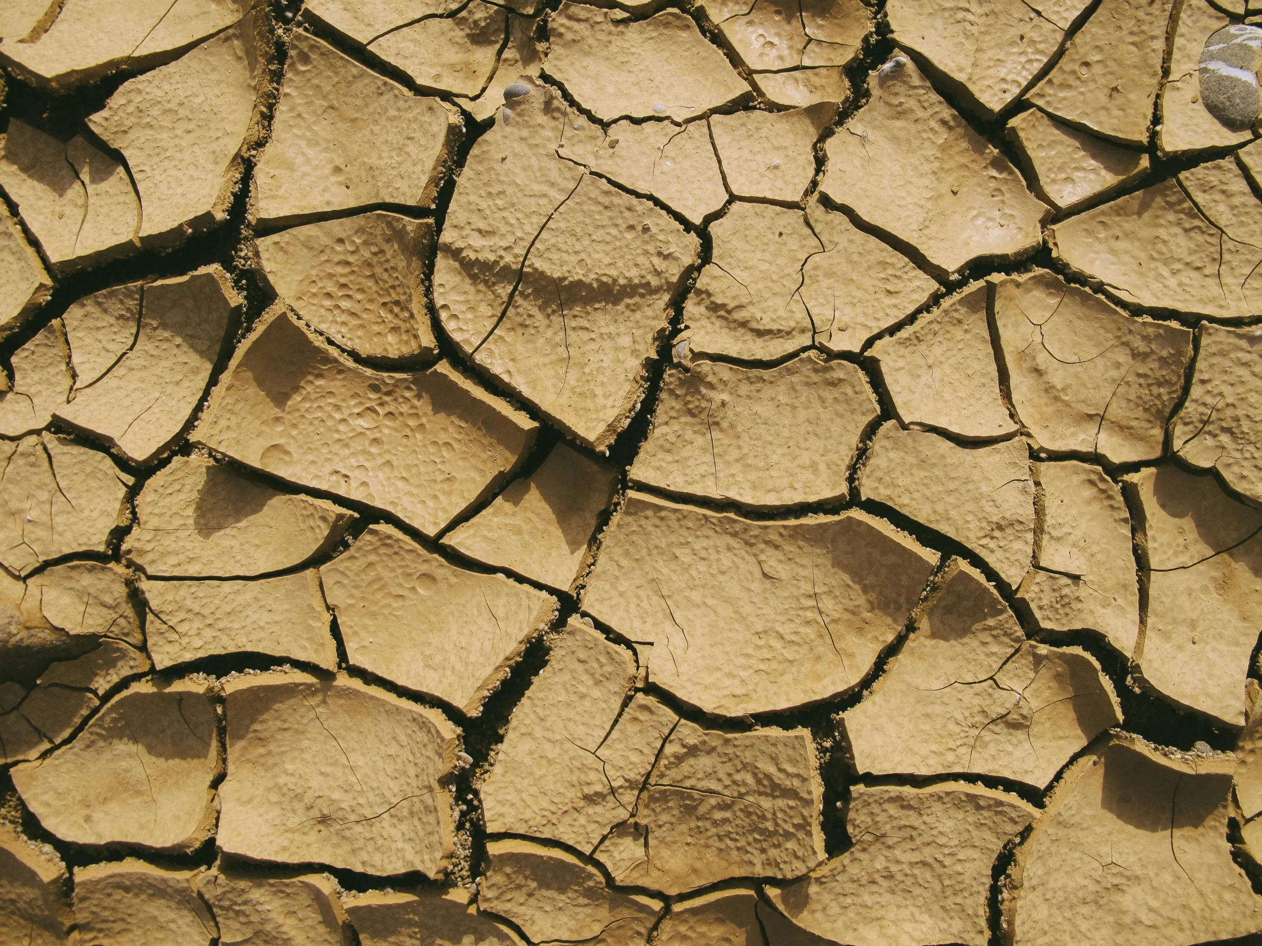 Picture of dry, cracked earth